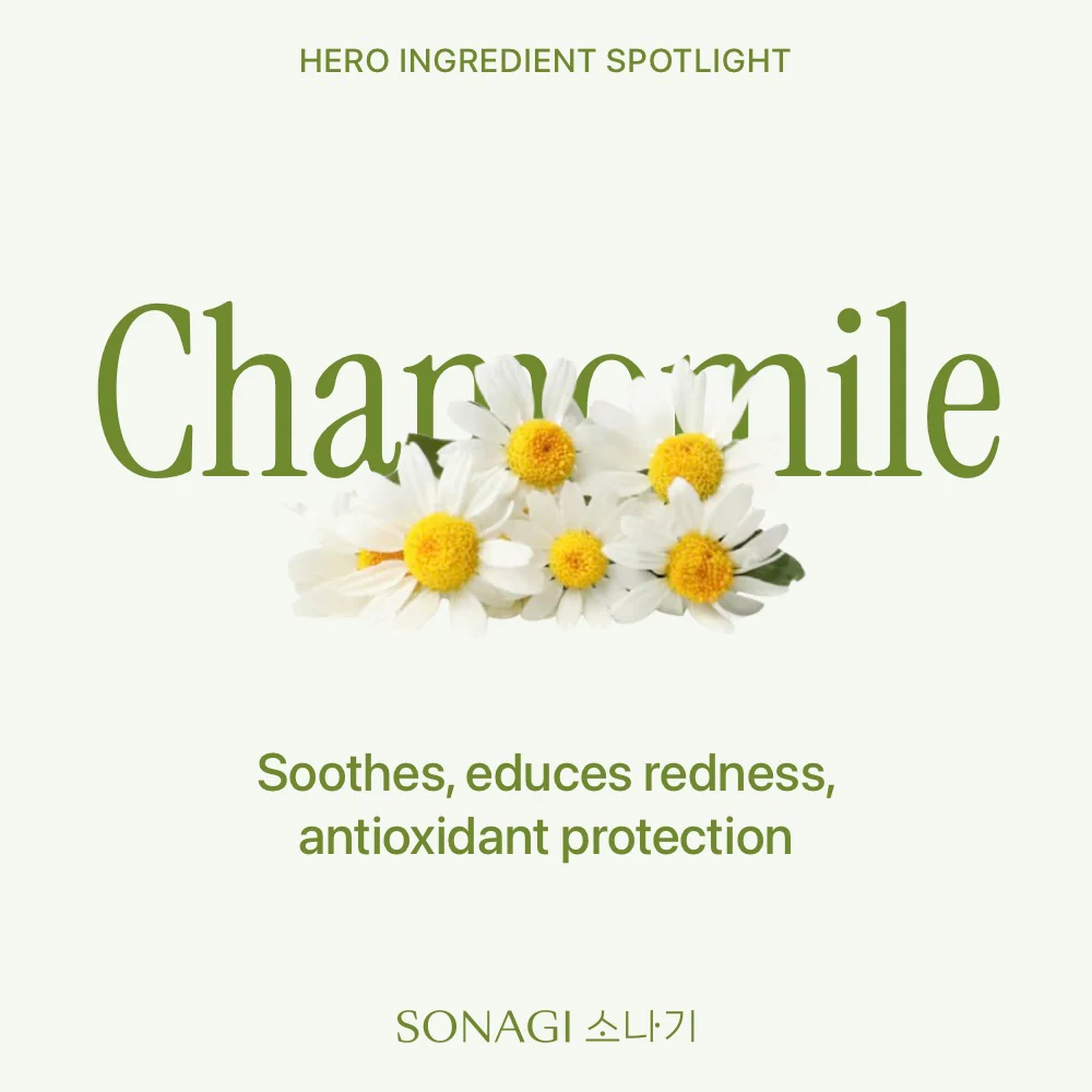 Matcha Hydrogel Collagen Eyepatches - Image 11